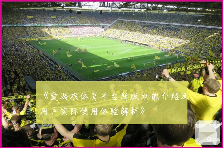 《爱游戏体育平台新版功能介绍及用户实际使用体验解析》