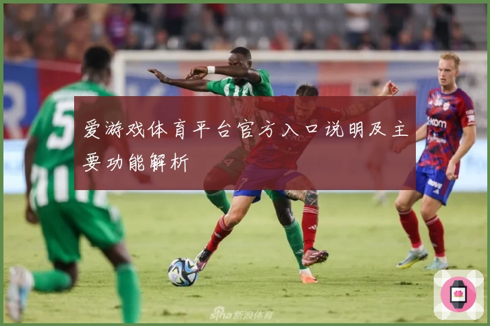 爱游戏体育平台官方入口说明及主要功能解析