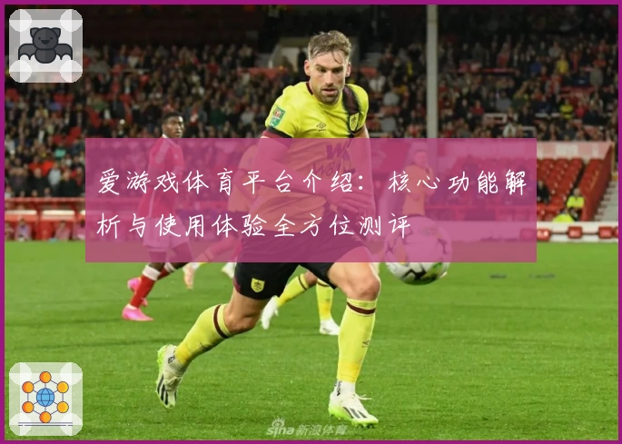 爱游戏体育平台介绍：核心功能解析与使用体验全方位测评